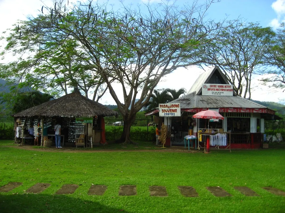 Late Afternoon: Souvenir Shopping