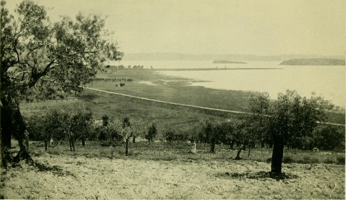 Spring (March to May)