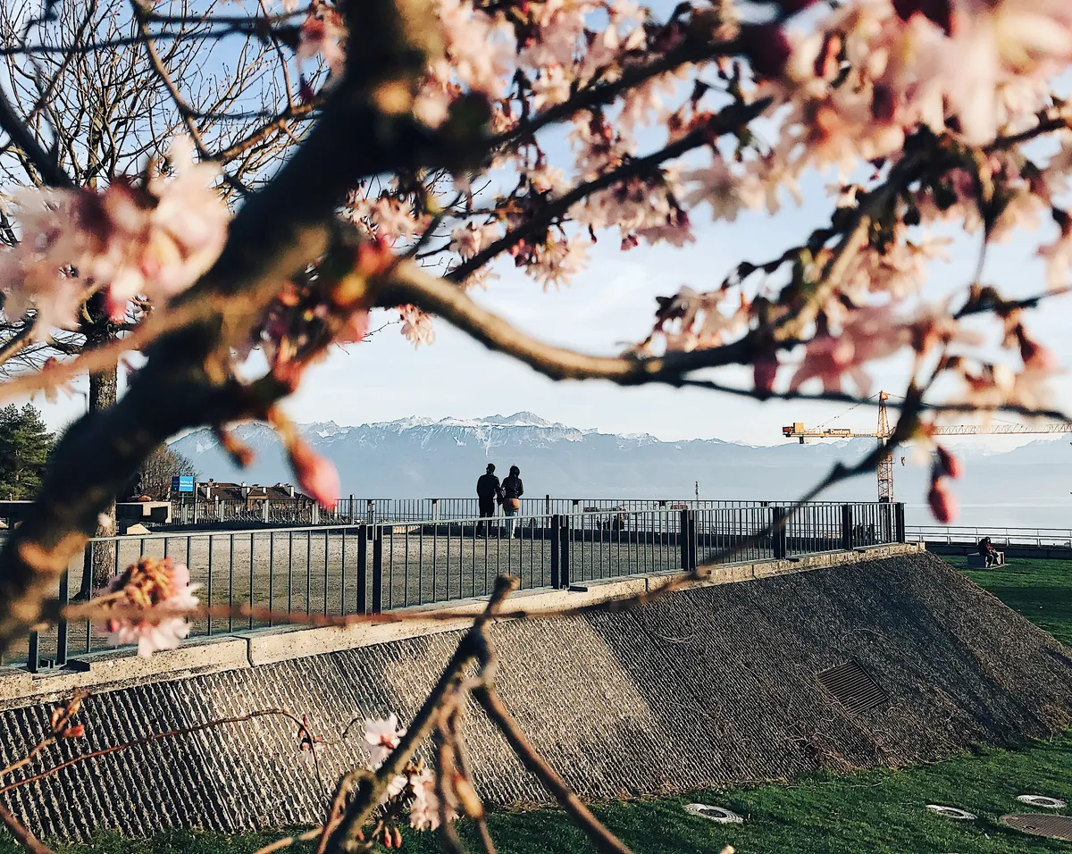 Spring (March to May)