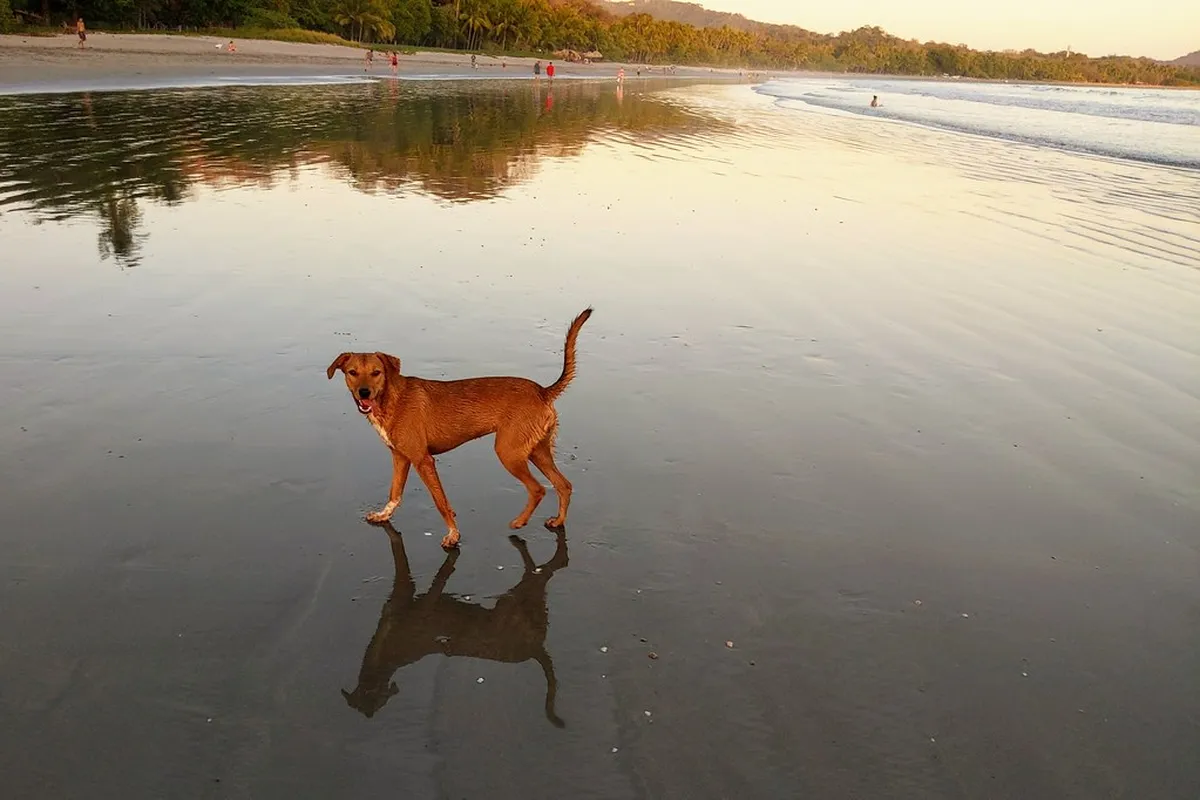 Evening: Sunset Reflections