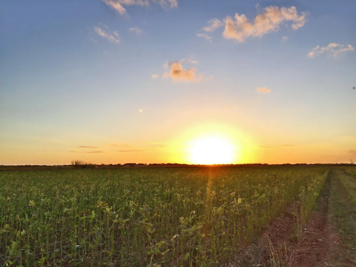 Evening: Sunset Serenity