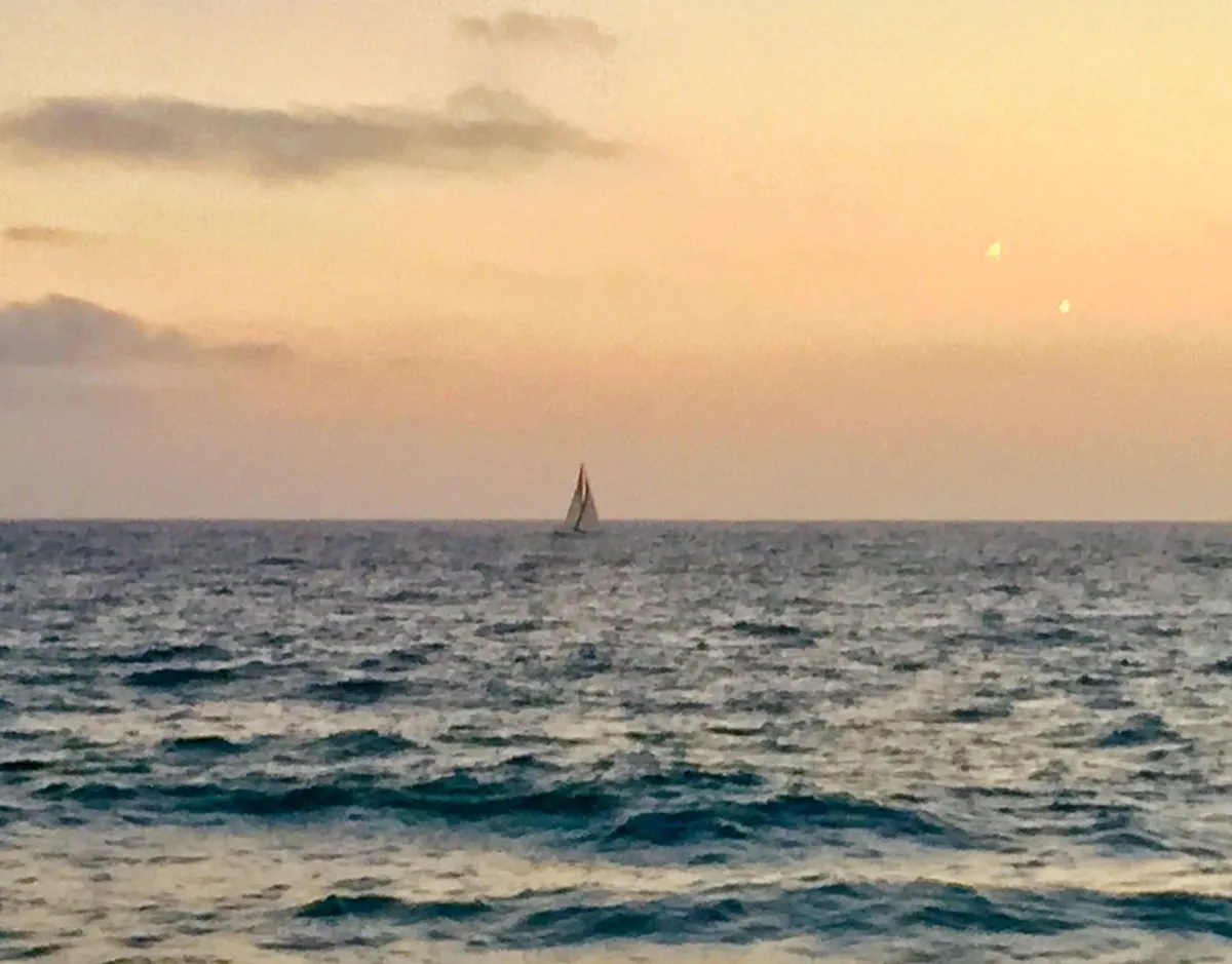 Evening: Sunset Views and Dinner