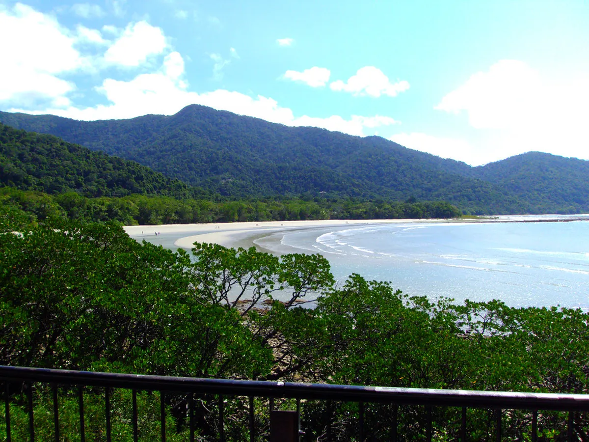 Afternoon: Visit to Cape Tribulation