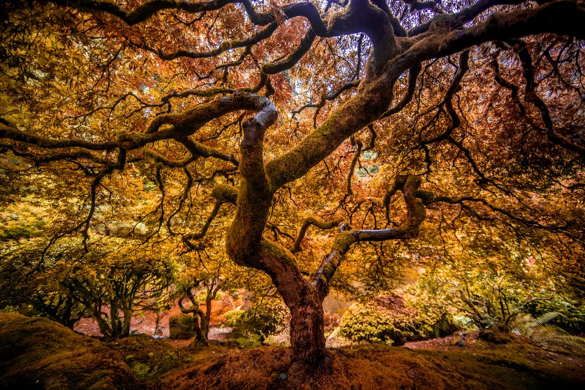 Morning: Washington Park